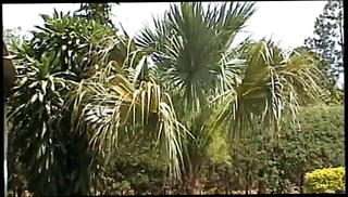 Video 1574650671: studs suck cock fuck, studs ass sucks, stud fucks sexy, stud face fucks, stud fucks creams, gay couple fucking sucking, cock sucking anal fucking, gay sex fucking sucking, gay anal sex masturbation, gay latinos fucking sucking, hot couple sucking fucking, fucking sucking cock outdoors, gay men fucking sucking, cock fucks american, gay muscular fuck