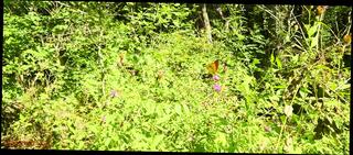 Video 1619957021: crossdresser sissy fucks dildo, sissy crossdresser compilation, femdom pegging compilation, mistress pegging sissy, femdom domination pegging, bdsm femdom pegging, double dildo pegging, milf femdom pegging, feet fetish compilation, sissy swallows cum compilation, shemale anal dildo compilation, sissy dildo anal fisting, dildo ass fucking crossdresser, crossdresser anal dildo toy, dildo fucking amateur milf, sissy anal training compilation, spank peg sissy, white ass crossdresser sissy, wife pegging sissy, sissy crossdresser trans, public masturbation sissy crossdresser, crossdresser fucked big dildo, vintage cum compilation, milf fucks huge dildo, sissy blowjob compilation, milf webcam dildo, double dildo insertion, mature crossdressers sissys, young sissy crossdresser, compilation milf hd, beautiful shemale cum compilation, milf ass fucked outdoor, striptease dildo fuck, milf teacher fucked