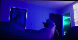 Video 1606476971: shemale big cock handjob, amateur big cock shemale, big cock shemale cumshot, amateur shemale couple, cock tits shemale, shemale amateur porn, mature shemale big cock, black shemale big cock, black cocks hd porn, cock eaten