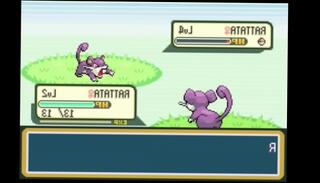 Video 1106546155: furry boy, furry teen