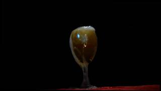 Video 1578074293: peeing urinal, urine fetish, pov pee, watersports fetish, amateur pov dick, big dick pee, pov amateur hot, drinking urine, pee desperation