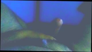 Video 1518948903: dick solo masturbating cumming, solo big dick cum, solo male masturbation cum, solo handjob cum, solo amateur cum, solo ejaculation, mature solo cum, interracial big dick, erect dick cum, dick huge cum load, dick thick cum, big mexican dick