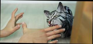 Video 1624452981: anime hentai 3d uncensored, hentai 3d anime sex, 3d animation futa, hentai anime joi, 3d animation hard sex, 3d animation hot sex, fucked hard animated hentai, feet foot fuck, hottest anime hentai, hd 3d animation, hentai love 3d, sis joi, fucking hot step sis, anime straight