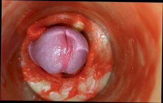 Video 1653578081: twink sissy femboy cum, crossdresser sissy anal solo, twink solo cumshot compilation, sissy bareback compilation, sissy creampie gangbang, fetish crossdresser sissy, gay sissy boy crossdresser, anal creampie compilation sex, amateur creampie cumshot compilation, sissy femboy masturbate, sissy crossdresser cock, sissy femboy blowjob, big cock bareback compilation, sissy crossdresser toying, daddies twink gangbang, hunk barebacks twink, creampie compilation close, creampie compilation hd, solo man masturbation cumshot, femboy screams, sperm cum