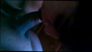 Video 340090835: babe sucks