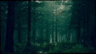 Video 1585919993: solo male pov, amateur pov sex, romantic pov sex, pov outdoor sex, solo sex play, dude pov