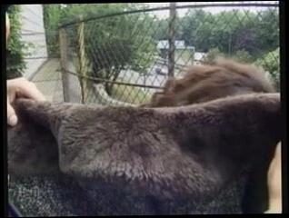 Video 95182301: hairy slut fucked, sucking fucking hairy, hairy ass fuck, sucking hairy straight, beautiful hairy ass, fucking hot hairy, hairy student, hairy bitch, naughty hairy, hairy french