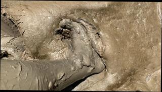 Video 1624143141: solo hairy masturbation, solo masturbation pov, hairy cock pov, hairy ass solo, hairy solo gay, hairy men solo, hairy man solo, amateur homemade solo masturbation, hairy naked gay men, white cock solo masturbation, hairy naked boys, hairy big cock masturbation, solo boy handjob, solo trap masturbating, solo bath masturbation, solo masturbation extreme, solo masturbation close, european solo masturbation, hairy french amateur, solo masturbation hd, hairy pits, hairy skin, socks hairy, gay boys swimming