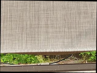 Video 1597843321: gay tiny cock, tiny balls, small tiny cock, tiny shaved, gay cock outdoors, balls hd, american cock