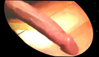 Video 1622682103: gay solo cumshot compilation, pissing amateur compilation, piss cum compilation, solo male cumshot compilation, hairy cumshot compilations, gay jock piss, solo jock jerking, big cock solo compilation, hairy anal compilation, hairy dick solo, mature solos compilation, hairy bear solo, hairy men solo, amateur handjob cumshot compilation, jerking hard cock solo, compilation french amateur, cumshot compilation big loads, cumshot compilation white, hung white jock, masturbation