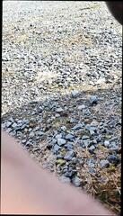 Video 1624533751: gaping ass masturbating, ass big anal gapes, homemade anal gape, gaping ass gay, gaping ass play, underwear ass, ass gaping european, anal gape close, daddy underwear, anal gape hd, ass norwegian