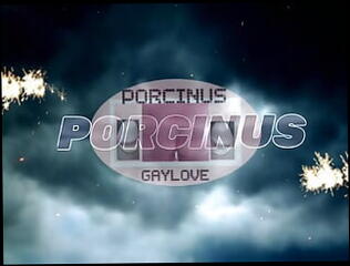 Video 1606087291: solo bondage, gay bondage anal, amateur anal bondage, anal solo hd, dildo fucking, french bondage, white bondage