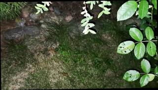 Video 1601499021: skinny solo, solo jerk cum, solo masturbation jerk, solo jerk gay, solo handjob cum, solo amateur jerking, skinny amateur homemade, solo outdoor cum, mature solo cum, european solo masturbation, solo masturbation hd