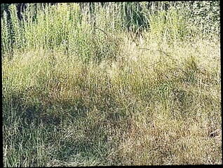 Video 1616678381: hairy solo cum, hairy cock solo, solo hairy masturbation, hairy solo gay, hairy man solo, solo jerk cum, hairy cock balls, solo orgasm cum, solo wank cum, hairy big cock cum, solo jerk cumshot, amateur orgasm solo, solo outdoor cum, cum load solo, hairy european amateur, solo sperm, solo masturbation hd, hairy big natural, hairy polish, clothes jerking, penis