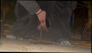 Video 1591183635: park pee, urinating outdoors, dick exposed