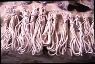 Video 1652023001: rick savage, bdsm slave punishment, bdsm fetish milf, hardcore bdsm punishment, pantyhose milf pussy, spanking fetish bdsm, fetish milf big ass, amateur milf bdsm, tits milf slave, mature milf punished, bdsm tied slave, hot milf slave, brunette milf slave, milf spread pussy, horny milf spreads, milf spreads wide, straight punished, usa milf, raw punisher