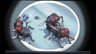 Video 1082642503: schoolgirl hentai uncensored, anime uncensored hentai, hentai anime big boobs, hentai uncensored girl, anime hentai cosplay, schoolgirl step sister, big tits hentai girl, slut step sister, butt step sister, big ass step sister, amateur step sister, schoolgirl teacher, college step sister, fantasy uncensored