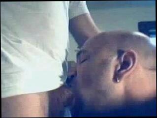 Video 46598201: gay porn dick sucking, gay man sucking dick