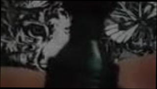 Video 1551083301: milf amateur mature wife, milf mom wife, milf wife orgasm, milf toy orgasm, milf wife pussy, wife milf girl, milf wife sex, milf mom friend, european milf sex, straight milf