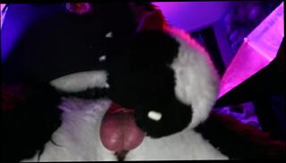 Video 973204903: furry solo, solo male cumshots gay, gay cum solo, solo amateur toys, furry dog, gay police cops