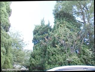 Video 1587828351: milf hairy pussy licked, milf hairy pussy fuck, milf asian hairy pussy, hairy japanese milf pussy, amateur hairy asian milf, hairy milf cumshot, hairy milf hd, hardcore hairy pussy fuck, hairy pussy missionary, hairy pussy slut, boobs slut milf, hairy pussies straight, milf office slut, hairy pussy smoking, hairy pussy small, hairy petite pussy, pussy pummeled