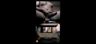 Video 1666046421: hairy pussy solo masturbation, hairy dick solo, oiled booty ass, hairy hunk bareback, big booty hairy pussy, hairy solo cum, bbc solo cum, chubby hairy pussy, chubby hairy gay, hairy cock solo, hairy muscle bareback, oiled black booty, chubby hairy fat, first bbc bareback, huge bbc bareback, hairy men solo, hairy man solo, homemade solo pussy masturbation, oil handjob big dick, blowjob big dick bbc, straight hairy hunk, bbc long dick, solo masturbation first time, hairy pussy hd, nigerian booty, devours bbc