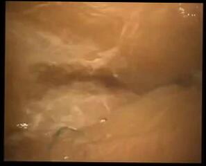 Video 49739001: straight blowjob, brazilian blowjob, shower blowjob