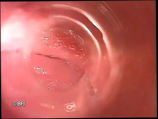 Video 1624043581: milka manson, solo pegging, shaved pussy solo, hot pussy solo, solo brunette pussy, hot solo boobs, tits pegging, straight pegging, small tits solo, extreme pegging, cute brunette solo, rough pegging, insertion solo, bedroom solo, hottest solo, solo close, bizarre pussy, hot brunette chick, chick inside