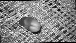 Video 1656259231: compilation pissing fetish, homemade creampie cumshot compilation, gay solo cumshot compilation, piss cum compilation, solo masturbation compilation, pissing fetish porn, indian creampie compilation, filled creampies compilation, hot pissing compilation, creampie guy compilation, creampie compilation hd, solo play compilation, pissing gay porn boys, pissing young gay boy, desi cumshot compilation, india solo