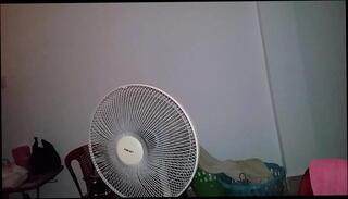 Video 804016285: shemale sucking licking, sex