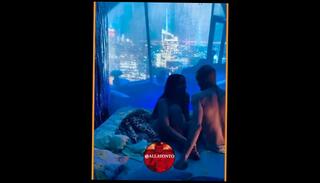 Video 1617889023: skinny squirting, pussy big squirt orgasm, ass squirting pussy, amateur squirting orgasm, big ass latin squirt, skinny women, perfect pussy squirt, female squirting orgasm, porn skinny, skinny amateur tattoo, squirting young pussy, skinny guy big, skinny babysitter, skinny angel, squirting behind, old skinny, big ass pussy job, women fucking, women part 1, romantic big ass, california amateurs