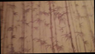 Video 399786015: pantyhose legs, shemale leggings, shemale trap