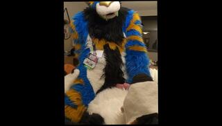 Video 1612654483: furry creampie, fetish creampie, anal riding creampie, amateur riding creampie, gay cum fetish, creampie cumshot orgasm, creampie huge cum, fuck cumming hands, fucked good cum, cum dog, cum badly