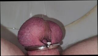Video 1576243983: caged sissy, sissy solo, solo amateur toys, caged dick, small dick sissy, solo male toy, pee, 60fps amateur