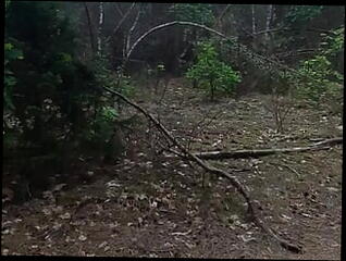 Video 1611832691: solo masturbation orgasm, amateur orgasm solo, solo masturbation cumshot, solo cumshots gay, solo outdoor masturbation, penis solo, solo public masturbation, solo masturbation hd, short nude, huge orgasm