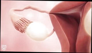 Video 1568831411: animated comics, indian animation, anime female, indian straight