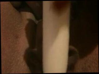 Video 152583801: girl squirting masturbation, friend masturbating squirting, ebony squirting masturbation, black girl squirting, straight girl friend