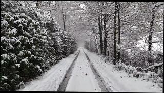 Video 1608536261: amateur couple ass fucking, amateur couple fuck cum, amateur girl ass fucked, chick ass fucked, girl friend ass fucked, amateur girl friend cumshot, ass blonde girl fucked, straight couple fucks, chick face fucked, ass fucks large, haired chick fucked, girl friend mouth fucked, ass fuck casting, long ass fuck, dutch amateur couple, ass fucked hd, chick auditions