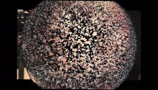 Video 1601204491: lesbian femdom spanks, lezdom bondage, lezdom submissive, asian lesbian bondage, femdom cunnilingus, lesbian ass spanking, submissive straight, bondage tied, mouth bondage, bondage hd