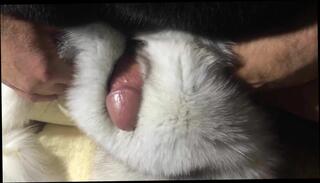 Video 380483601: fetish gay sex, fetish gay masturbation, fetish gay porn, amateur fetish sex, cum fetish, fetish handjob, fetish hd, stroking cumming, long fuck