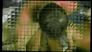 Video 1574542131: ass girl banged, tight ass hole banged, bangs gorgeous, shemale fucks girl ass, ass fucked sexy shemale, shemale fuck girl anal, sexy girl anal masturbation, blowjob anal ass fuck, latin shemale ass fucking, sexy hot couple shemale, shemale fucking guys ass, ass loves anal fuck, shemale fuck young girl, tits shemale fuck guy, american shemale fucks guy