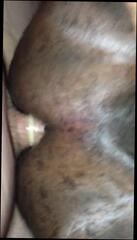 Video 192459001: interracial gay fuck, interracial amateur fuck, interracial fucking white, interracial fuck black, friend interracial, interracial bears, fat interracial, nice ass cum, tight ass cums, tight ass love