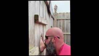 Video 1603199983: chubby gloryhole, blowjob gloryhole dick, dick gloryhole gay, gloryholes gay handjobs, chubby daddy bear, gloryhole cumshot, gloryhole loads, outdoor gloryhole, public gloryhole, thick chubby, daddy outside