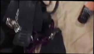 Video 1277253701: lesbian double dildo, milf double dildo, double dildo masturbation, dildos toys lesbian, double dildo sex, girl double dildo, big tits milf double, brunette milf dildo, straight dildo toys, lesbian escort, group sex double