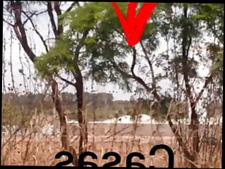 Video 1580915511: skinny fetish, naked nude nudist, skinny naked boy, skinny boy big dick, nudist boys gay, skinny boy big cock, fetish amateur gay, skinny latino gay, fetish training, nudist outdoor, skinny street, public nudist, hd skinny, riding naked, warm dick