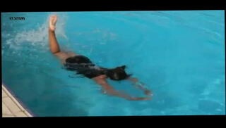 Video 1570844651: bikini girl, bikini pool, bikini beauty, black bikini, nice bikini, bikini lingerie, european bikini, brunette bikini, bikini hd, straight girl, 18 year old girl, spandex girl, sports girl, good black girl, beautiful german girl, great girl