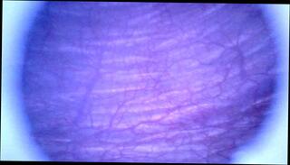 Video 1624786961: pissing fetish porn, fetish gay piss, fetish solo porn, pov pissing, pov amateur homemade porn, cock pov homemade, pov big cock amateur, beauty pov dick, european amateur pov, pov hd porn, pissing young gay, filled pov, inside pov, austrian gay