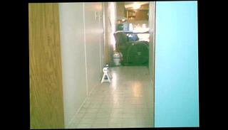 Video 38542715: pissing peeing, naked pissing, pissing dicks, cock pissing, friend pissing