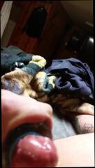 Video 232510501: gay friends cumming, gay man cum, baby, kissing, orgasm