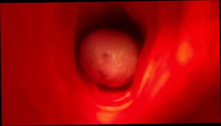 Video 732038703: solo fleshlight fuck, solo male fleshlight, amateur fleshlight, fleshlight close, homemade